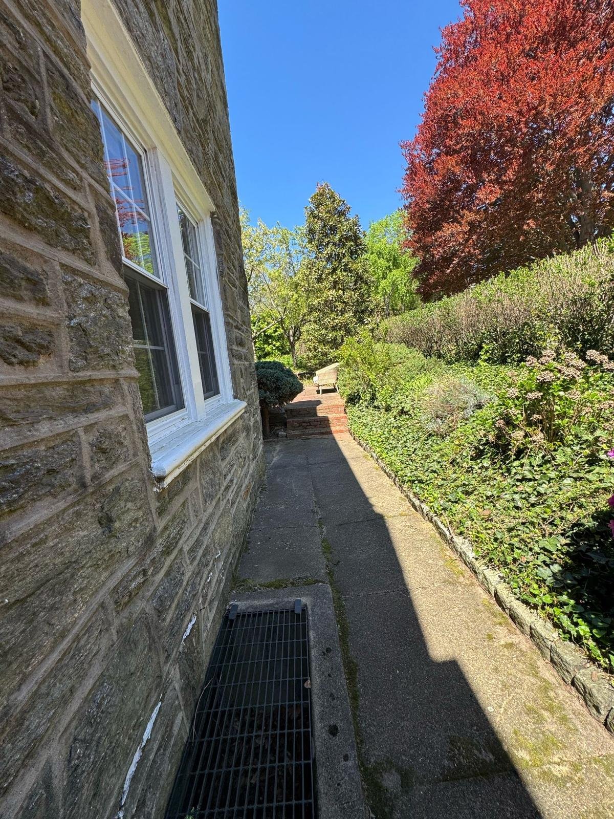 Yard cleanup work by Green Force Property Services